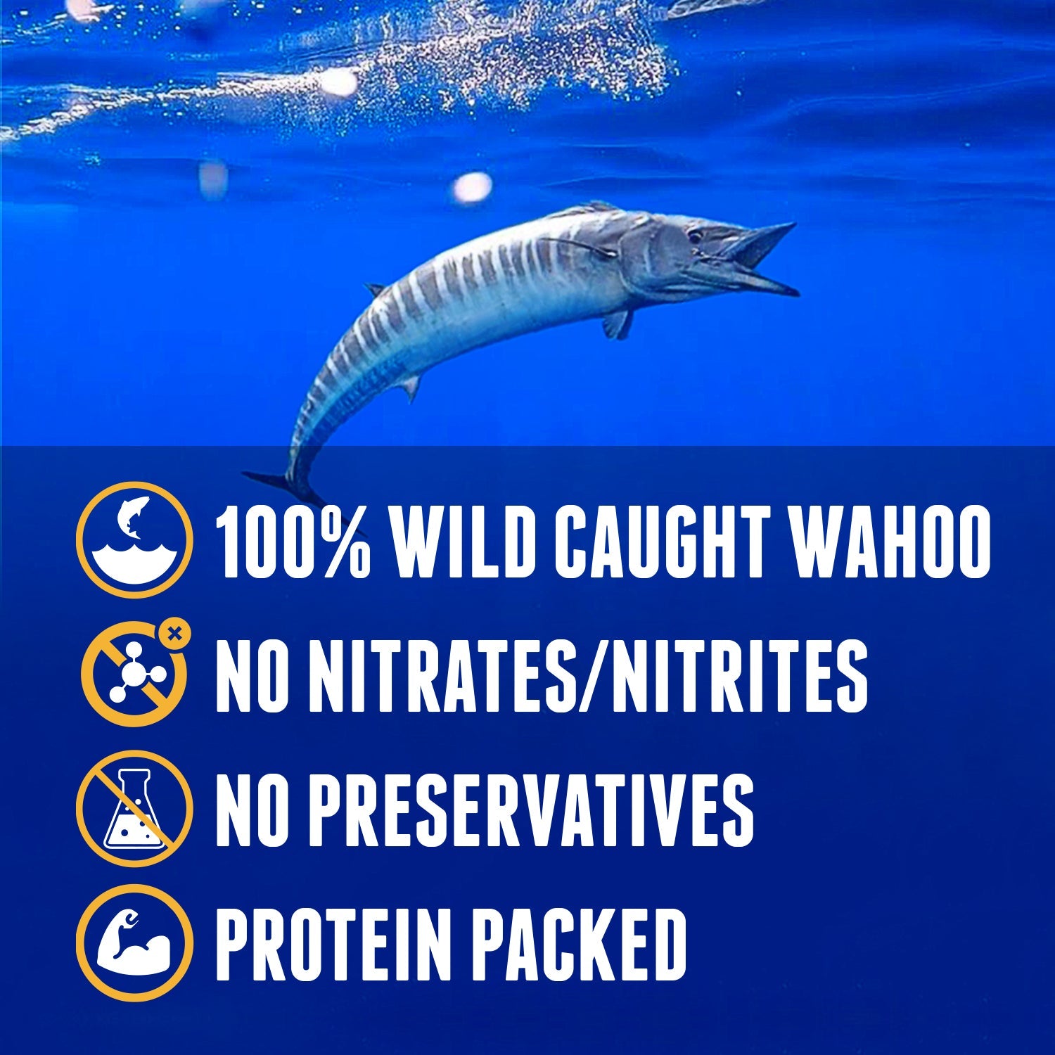 Island Citrus Wahoo Jerky